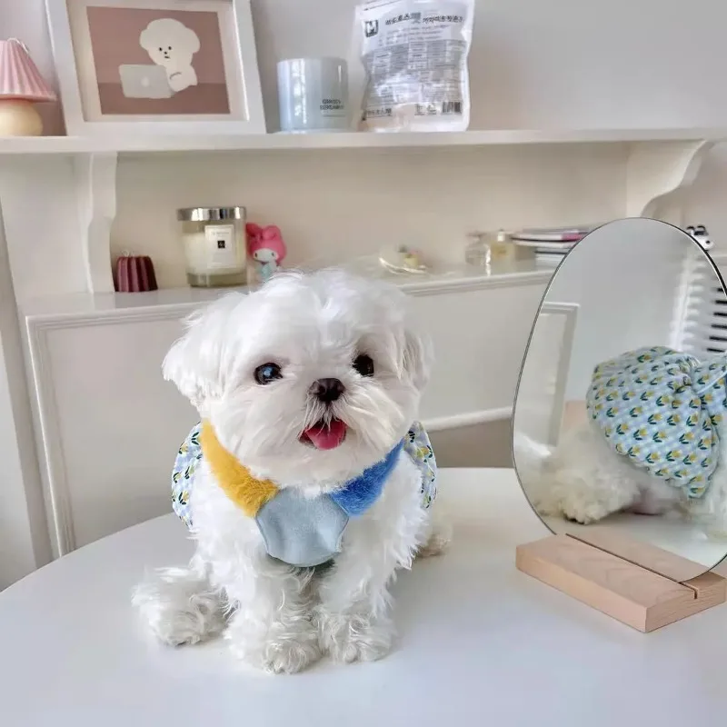 Falda de calabaza cálida INS, bonito abrigo a cuadros, falda de tulipán para mascotas, cachorro, gato, mascota, osos de Pomerania, vestido de Otoño Invierno, vestido para perros pequeños - imagen 3