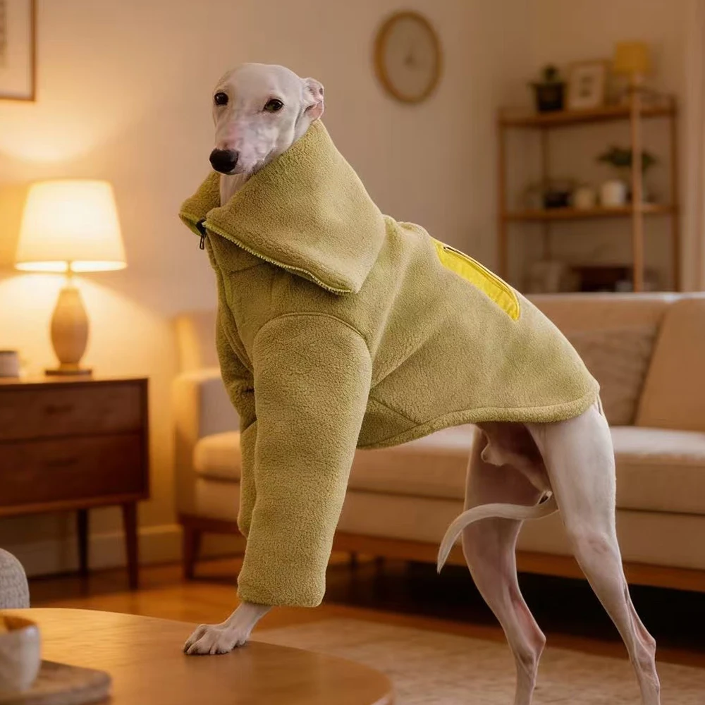 Sudadera de lana con cremallera para galgo inglés y whippet