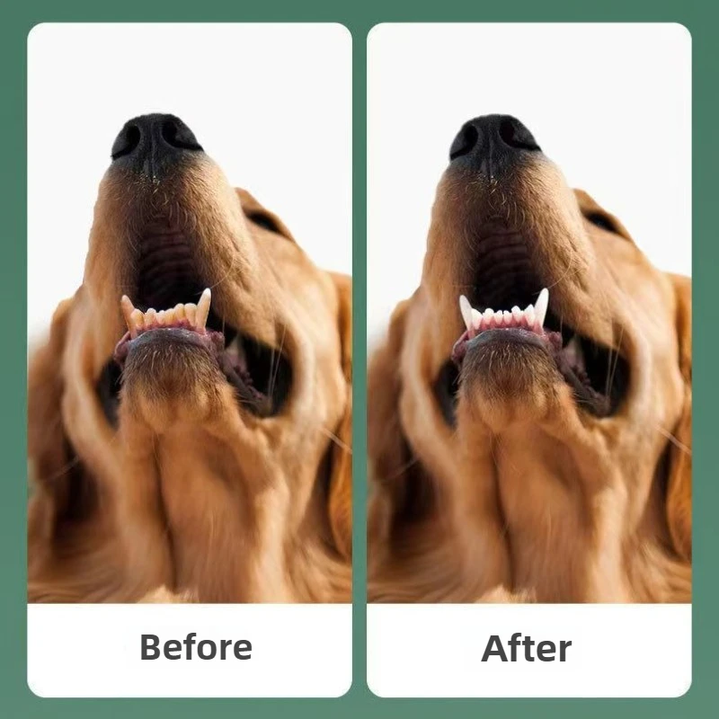 Removedor ultrasónico de cálculo para perros, máquina de limpieza de dientes para perros y mascotas, accesorios de cuidado Personal para cachorros, producto de belleza para limpieza dental - imagen 2
