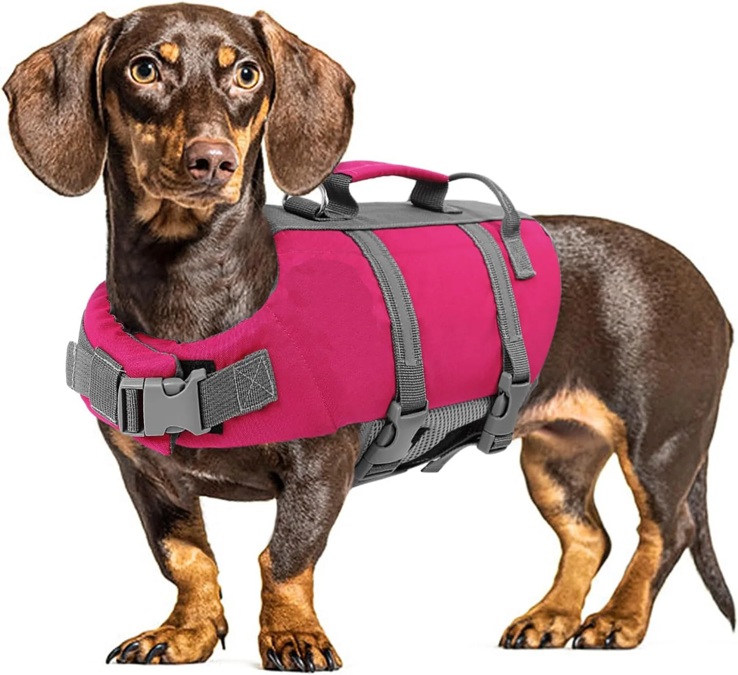 Productos para mascotas, traje de baño para perros, chaleco salvavidas de alta flotabilidad, Color Visual, tira reflectante fuerte, chaleco salvavidas para mascotas, suministros para perros - imagen 2