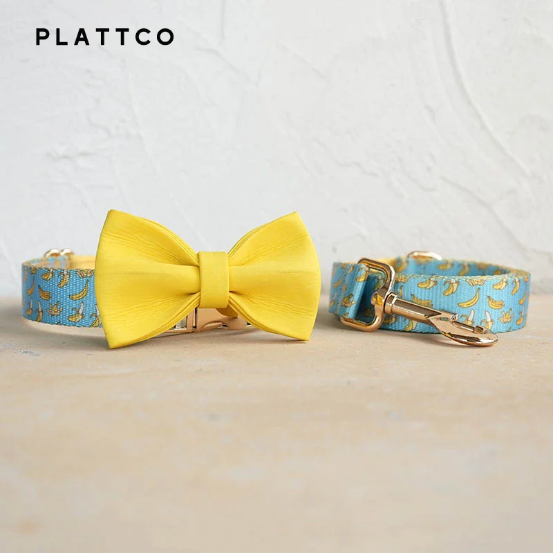 Bow Tie Collar Leash