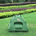 tent green