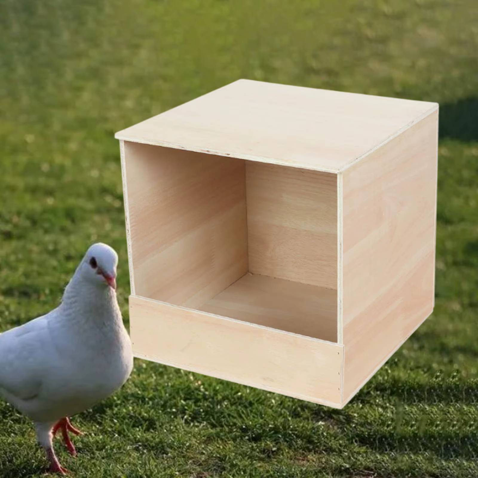 Caja nido para periquitos, canarios y pinzones - imagen 4