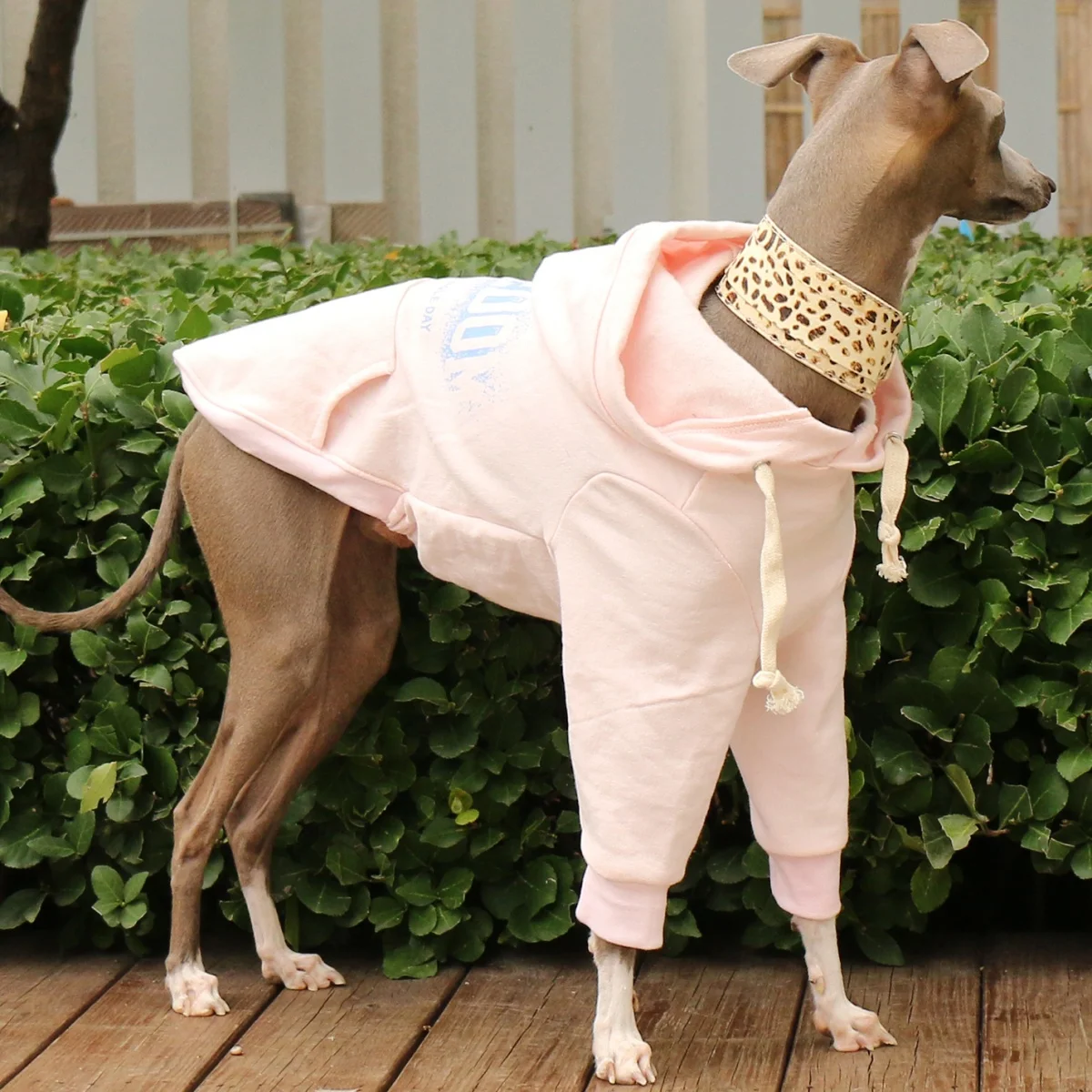 Sudadera con capucha con cordón de galgos para galgo italiano, Top blanco de manga larga para Whippet, abrigo rosa suave para perros medianos - imagen 5
