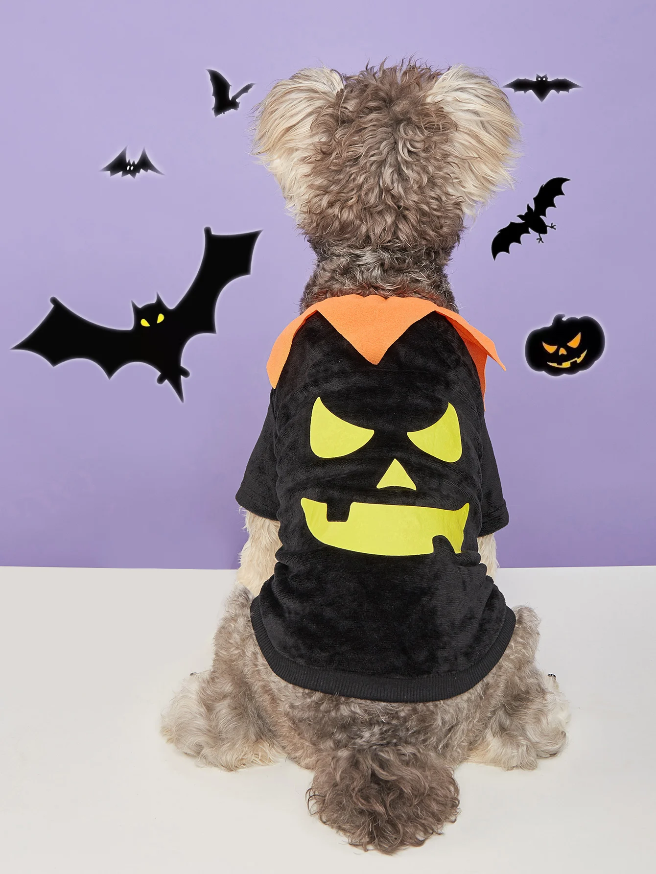 Disfraz de perro de calabaza de Halloween, camisa naranja para mascotas con cuello verde, traje festivo para perros pequeños/medianos, perfecto para Halloween - imagen 3