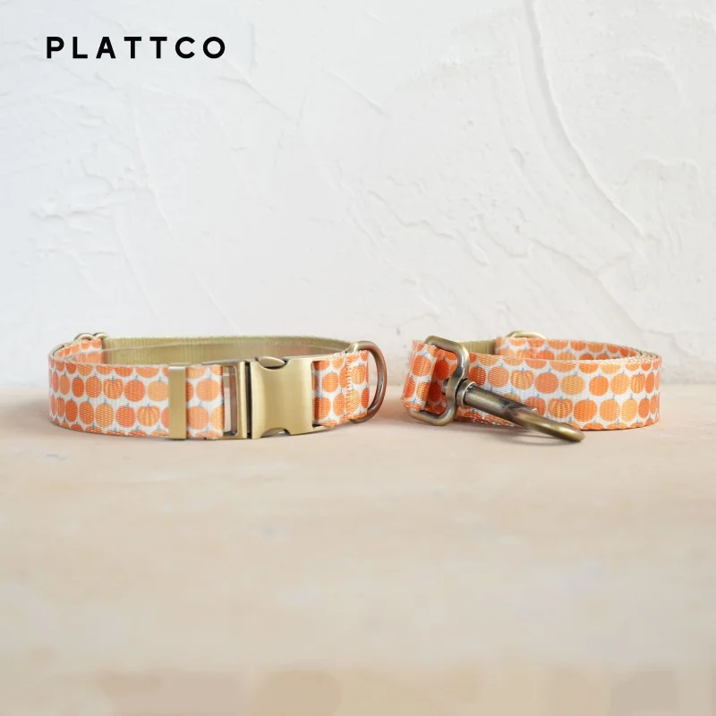 Dog Collar Leash Set