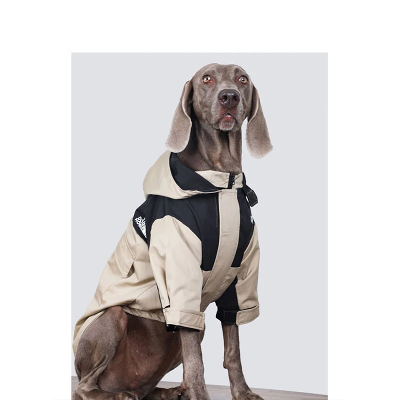 Ropa de moda para perros, chaqueta impermeable para intercambio de perros para Golden Retriever Labrador Media, perros grandes en invierno y primavera - imagen 3