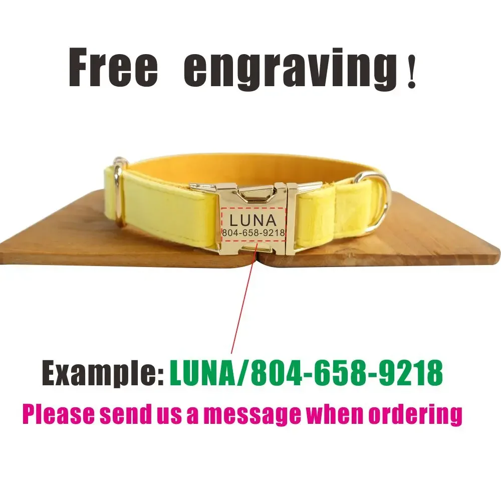 Collar de perro personalizado, Collar personalizado para mascotas, grabado gratis, etiqueta de nombre de identificación, accesorio para mascotas, Collar de cachorro de terciopelo grueso amarillo - imagen 4