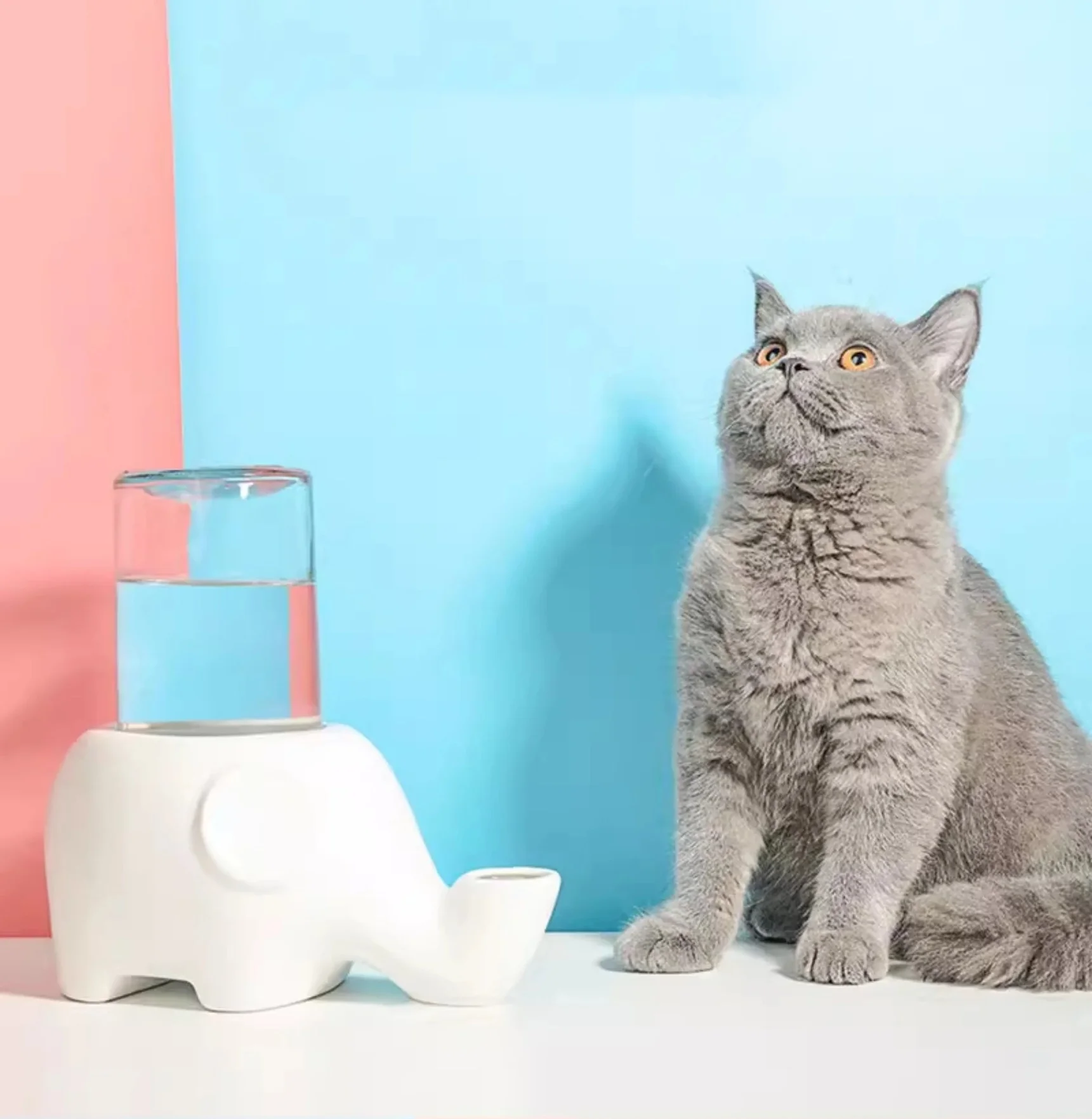 Bebedero cerámica elefante antideslizante gatos ergonómico boca pequeña - imagen 5