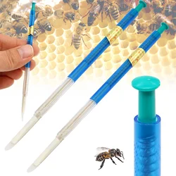 Aguja de transferencia larvas abeja para injerto en apicultura