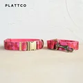 Dog Collar Leash Set