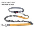 OG dog leash A