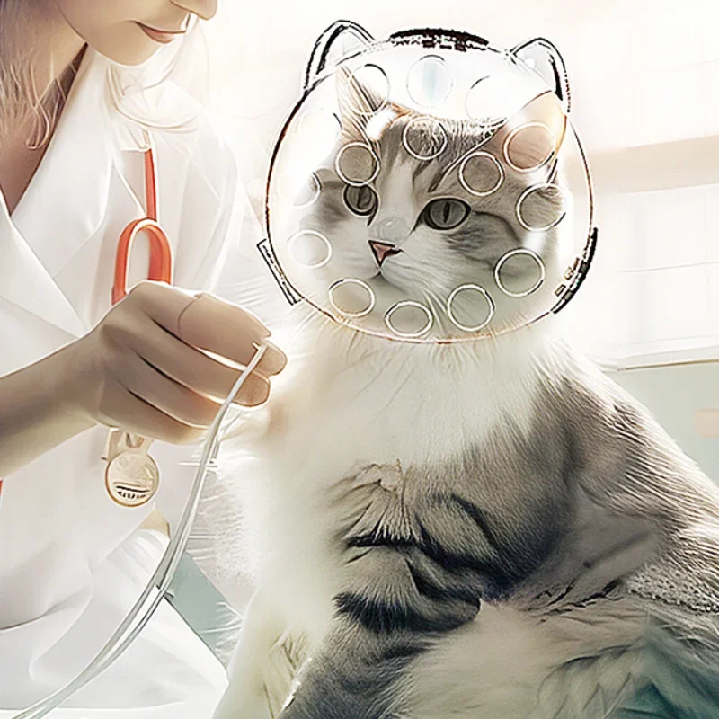 Cubierta transparente portátil para cabeza de gato, bolsa de transporte de seguridad transpirable para viajes, evita mordeduras y arañazos, productos para mascotas - imagen 3