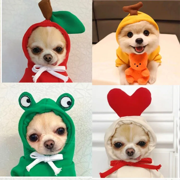 Fruta convertida perro gato pequeño perro mediano otoño e invierno suéter ropa de lana suministros mascota Teddy sudaderas con capucha productos para mascotas - imagen 3