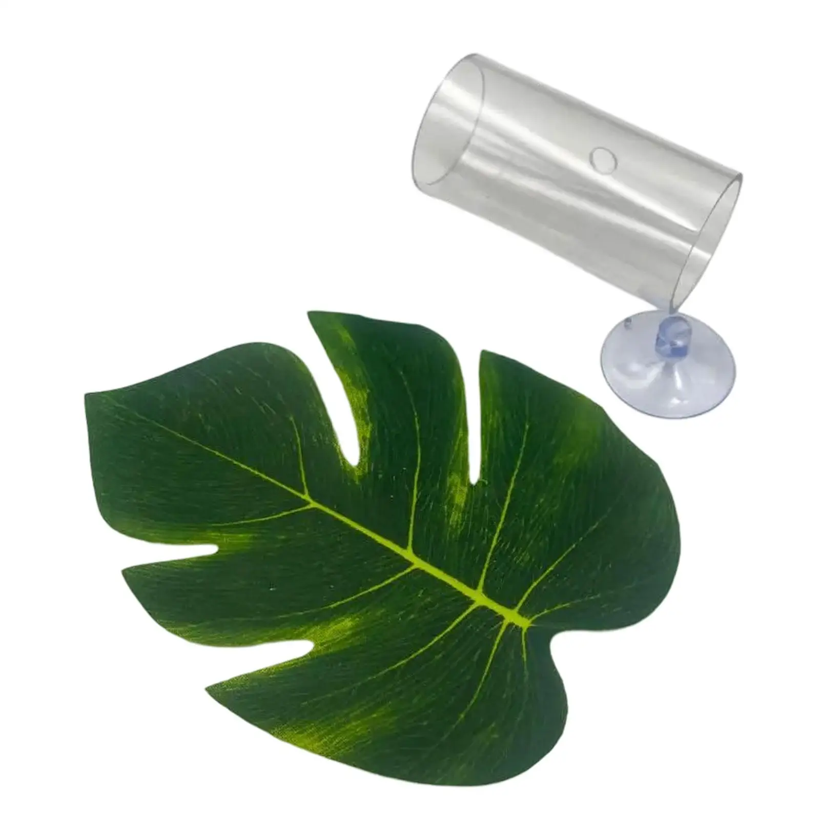 Betta Fish Tube Tunnel Shelter Habitat for Sleeping Playing Aquarium Hideout