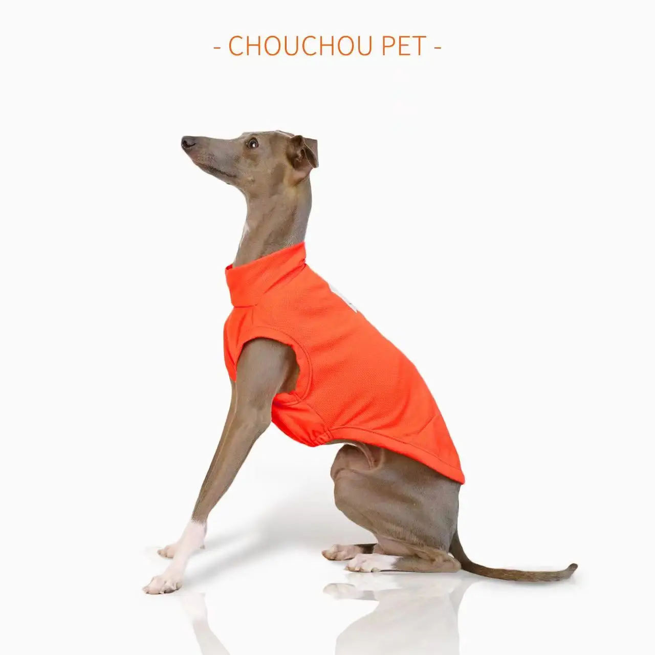 Chaleco transpirable de verano para perros, protección solar para exteriores, ropa para mascotas, ropa fresca y cómoda para perros pequeños y medianos Iggy Whippet - imagen 3