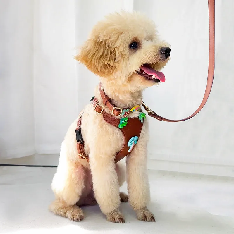 pet leather harness with decorative stickers Dog Harness Leash and collar with cartoon Patches dog leash collar with trinkets - imagen 2