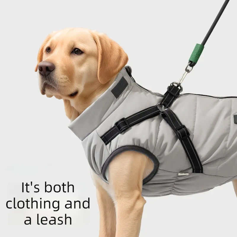 Abrigo impermeable para perros grandes Labrador Golden invierno cálido - imagen 2