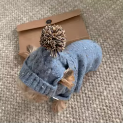 Conjunto térmico para perros mini y gatos: jersey con gorro y bufanda