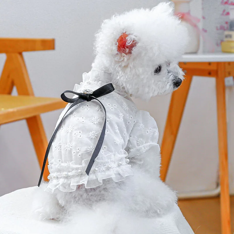 Ropa para perros dulces, sudadera blanca, camiseta para perros pequeños, perro salchicha, Chihuahua, manga de burbuja, lazos de cinta, sudaderas con capucha, camisa para mascota XS - imagen 3