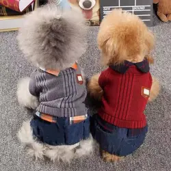 Abrigo de terciopelo para perro pequeño con capucha y cuello camisa