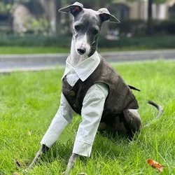 Camisa y chaleco estilo británico para galgo whippet