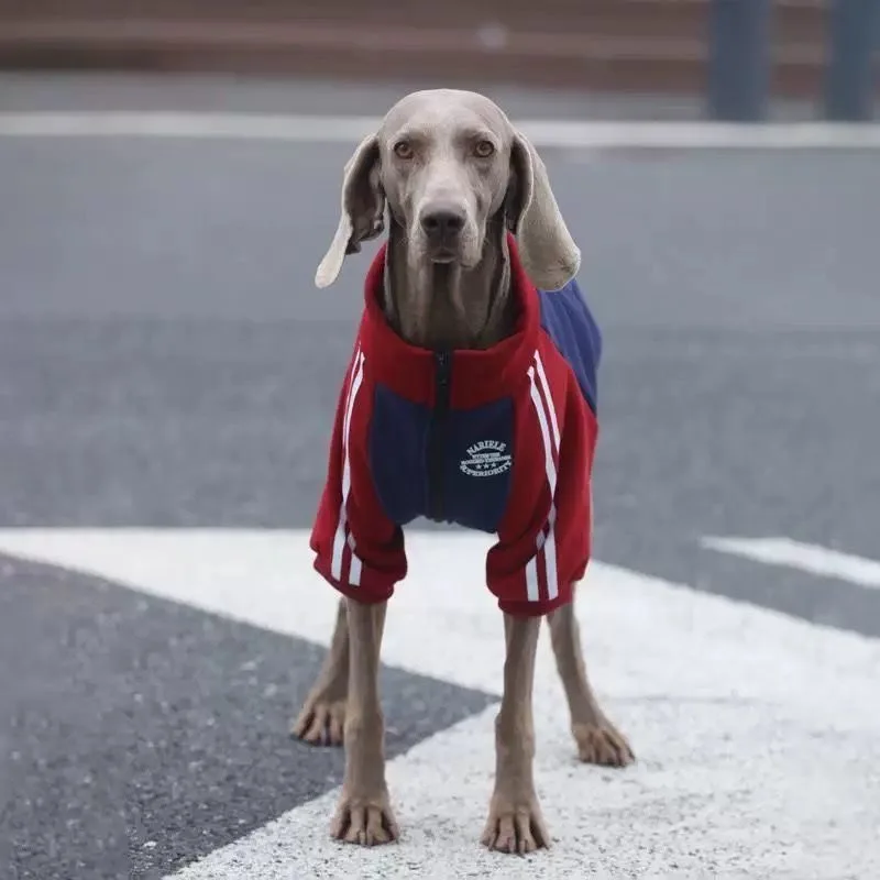 Abrigo polar para perros medianos y grandes – Otoño e invierno