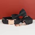 Bow Collar Leash01