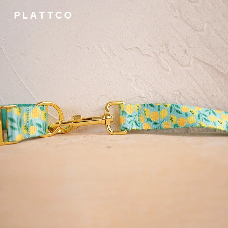 PLATTCO diseño único correa de perro estampado LEMON TEASE patrón y hebilla dorada de alta calidad 5 tamaños PDL329YG - imagen 4
