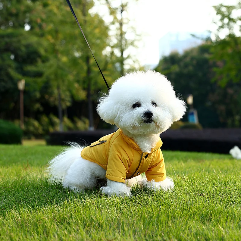 Nueva ropa gruesa de invierno para perros Bichon, ropa para perros pequeños a medianos, ropa para mascotas de dos pies, ropa para perros caninos - imagen 3