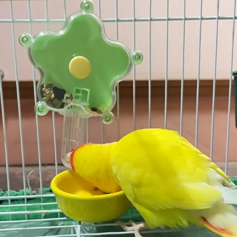 Juguete compatible con diferentes pájaros