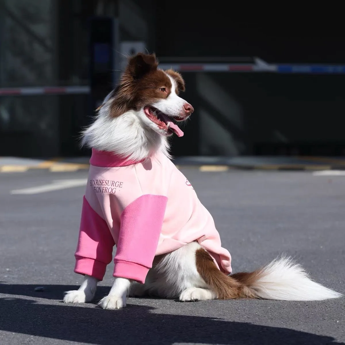 Abrigo invierno perros grandes forro polar – Rosa - imagen 4