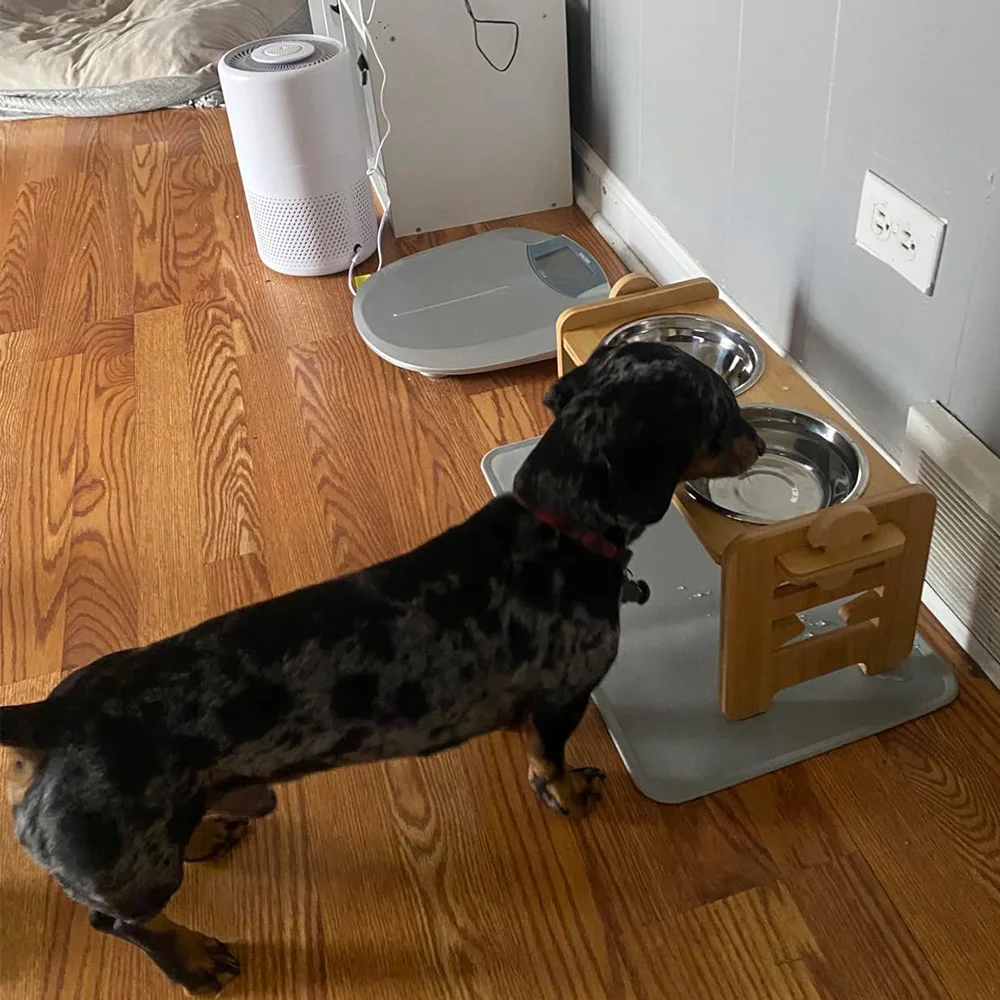 Comedero elevado de madera para perros y gatos con 2 tazones de acero inoxidable, soporte de cuenco elevado con inclinación ajustable para postura de comida saludable para mascotas - imagen 4