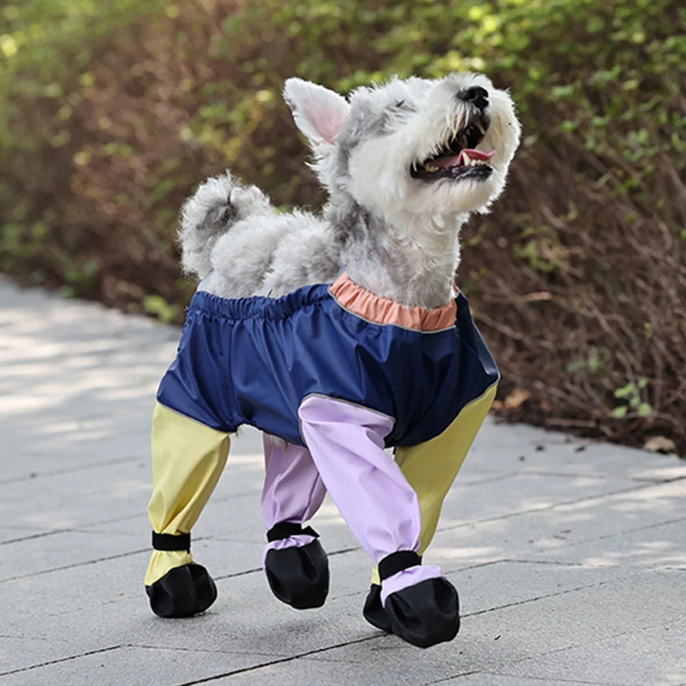 Pantalones antisuciedad impermeables para mascotas y zapatos para perros pequeños, mono de lluvia para caminar, Pinscher, Yorkies, mascotas - imagen 4