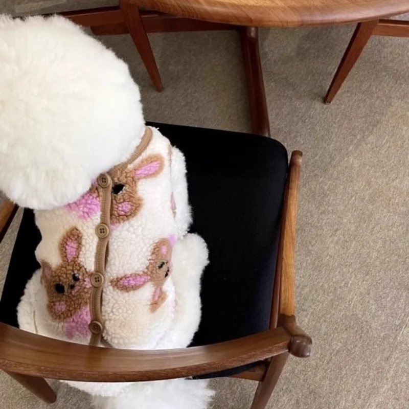 Abrigo para perros, chaqueta de lana para invierno, ropa para perros con estampado de dibujos animados, abrigo para cachorros, chaleco de gato de lujo, chaqueta, disfraces para mascotas, ropa para Chihuahua - imagen 4