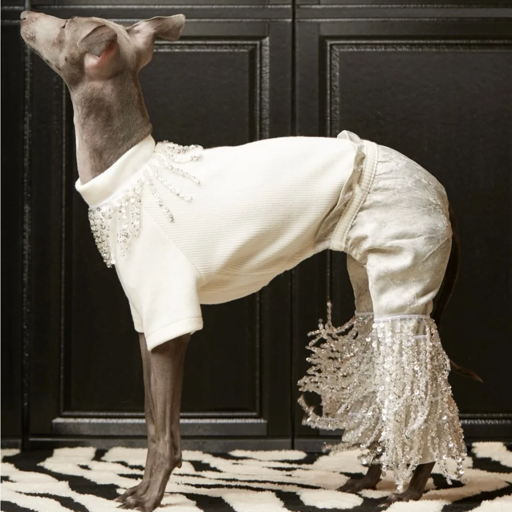 Traje blanco una pieza con flecos para perra Galgo Italiano primavera - imagen 5