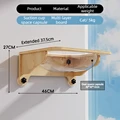 Space Capsule
