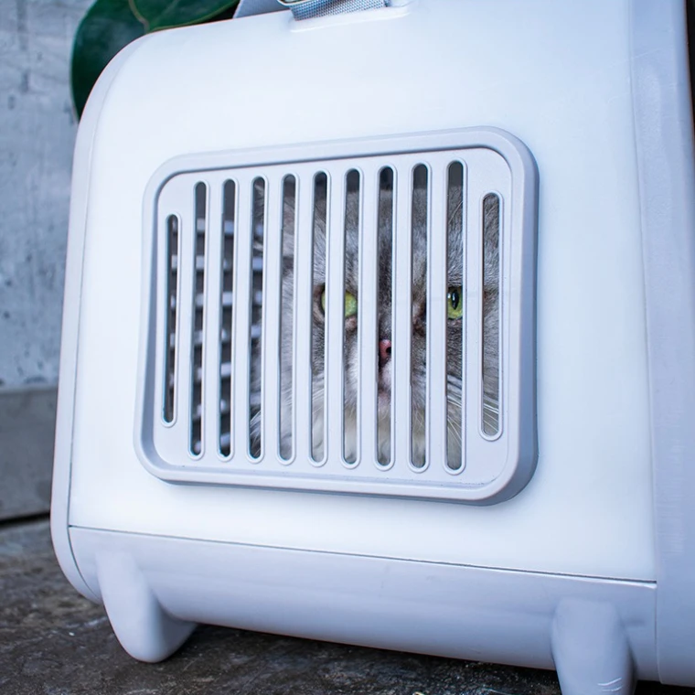 Bolsa portátil para gatos para salir, cápsula espacial portátil de gran capacidad para gatos, bandolera, bolsa de viaje para perros, productos para transportar mascotas - imagen 4