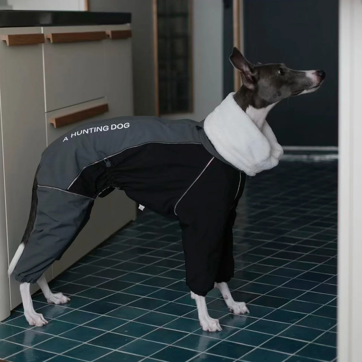 Chaqueta de forro polar grueso gris oscuro de cuatro patas de invierno con cremallera en la parte posterior para galgos italianos, a prueba de viento, impermeable y cálido, abrigo rosa con pecho ajustable para perros. - imagen 2