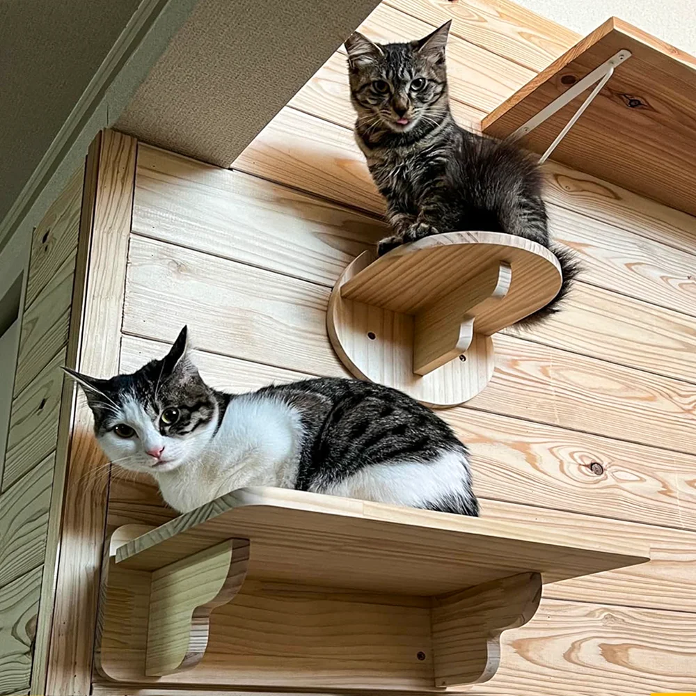 Muebles de pared para gatos, estante de escalada, escalones montados en la pared, escalera con cuerda de Sisal, rascador, garras de molienda, juguete para la mayoría de los gatitos - imagen 3