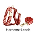 Harness   leash