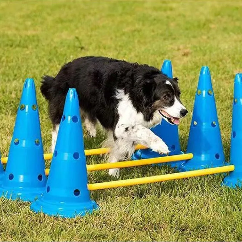 Conjunto de entrenamiento de agilidad para mascotas, barra de salto para perros, equipo de entrenamiento de obstáculos, dispositivo de entrenamiento para perros, suministros para mascotas - imagen 5