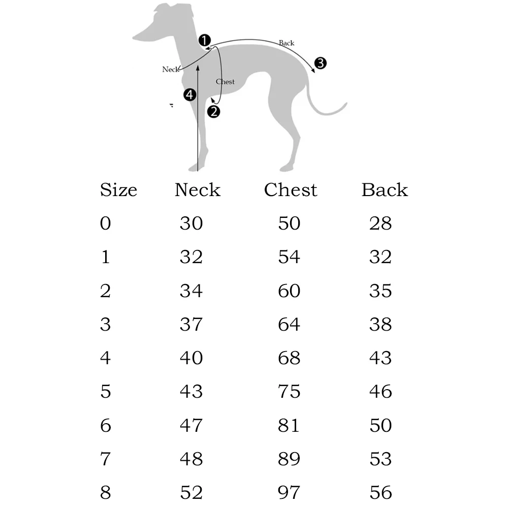 Chaqueta impermeable puesta en un Whippet corriendo en parque