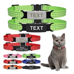 Collar reflectante identificativo para gato, ajustable y seguro