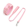 collar leash