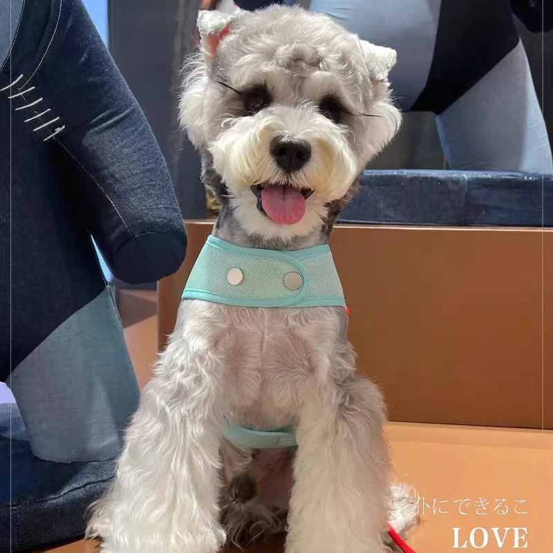 Arnés de malla de lujo para mascotas, chaleco refrescante para perros de verano para Schnauzer, Teddy de Pomerania, arnés ajustable transpirable para viajes de mascotas y paseo - imagen 5