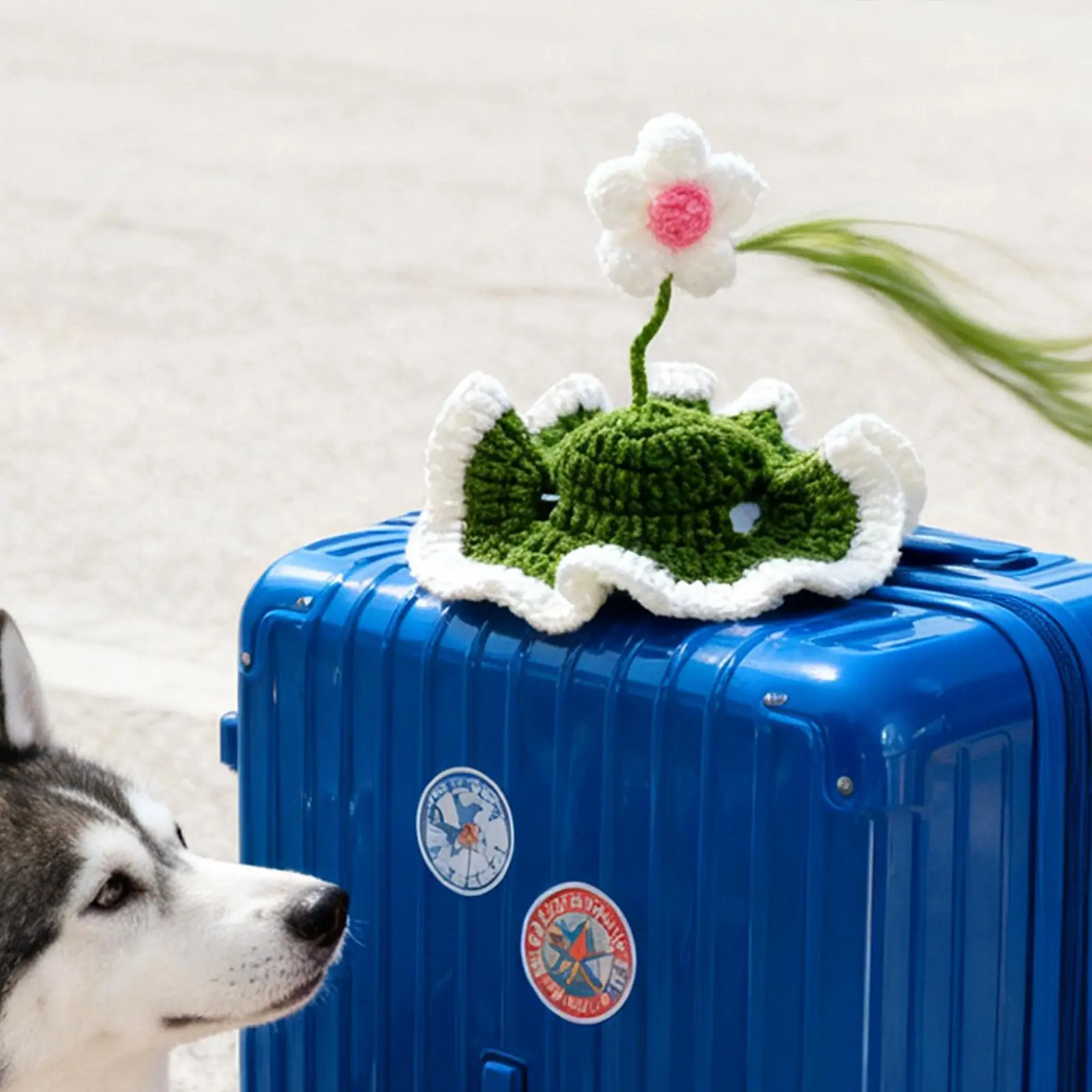 Gorro de invierno para mascotas, bonito sombrero para gato, decoración para fiesta de Navidad, sombreros de dibujos animados para gatos de interior y exterior, animales pequeños