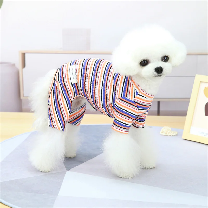 Mono para Shih Tzu con rayas - comodidad