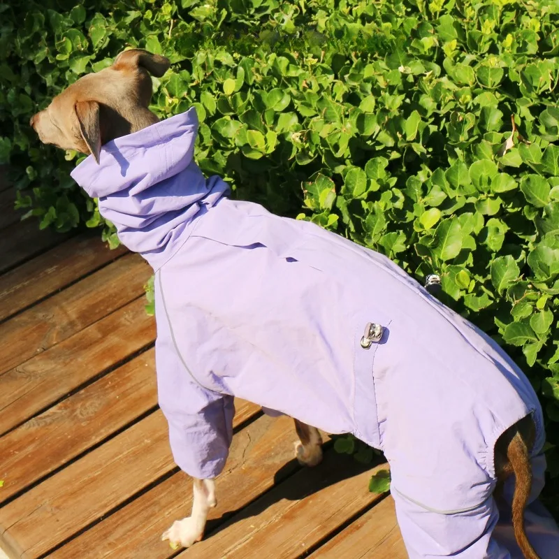 Abrigo impermeable de verano para galgo y whippet – cuello alto - imagen 5