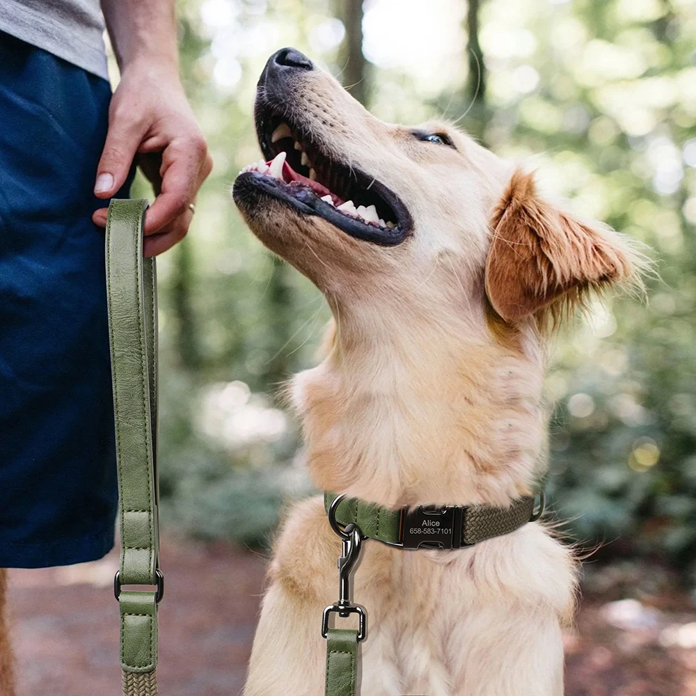 Correa de nylon resistente para perros 1,5 m con asa de cuero - imagen 4
